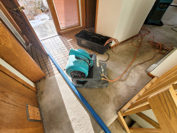 Best Flood damage cleanup  in , SD