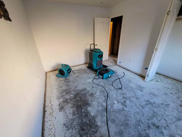 Best Flood restoration services  in , SD