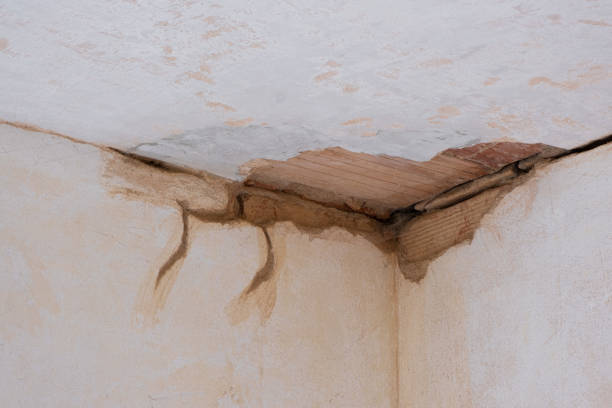  , SD Water damage restoration Pros