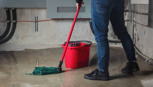 Best Water damage cleanup near me  in , SD