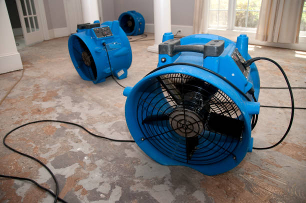 Best Sewage cleanup and water damage restoration  in , SD