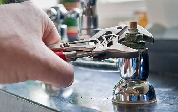 Best Mold removal after water damage  in , SD
