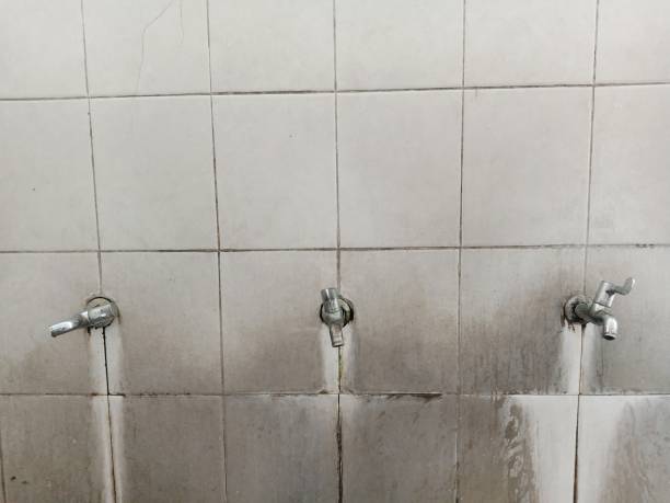 Best Basement water damage restoration  in , SD