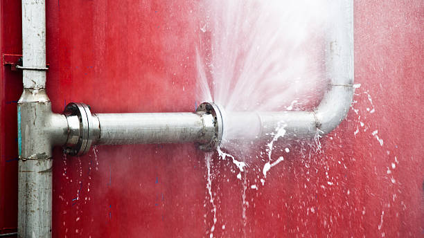Best Local water damage restoration  in , SD