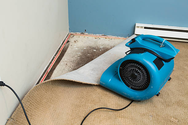 Best Flooded house restoration  in , SD